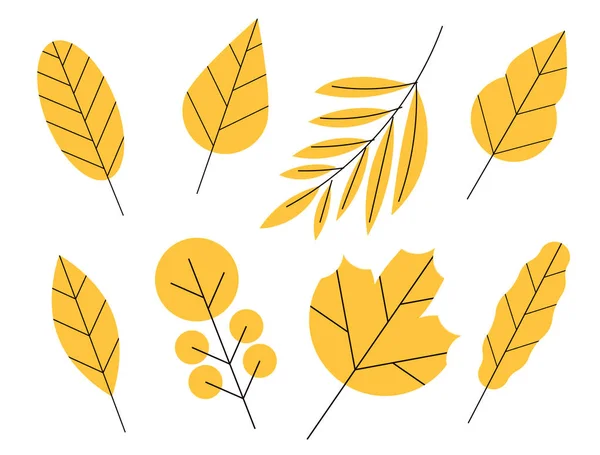 Vector set of doodle floral elements. Autumn collection. Flower graphic design. Autumn leaves collection. Flower graphic design. Hand drawn vector botany set. — Stock Vector