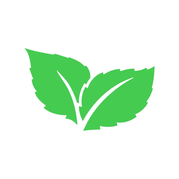 Eco verde hoja de color vector logo icono plano. Diseño del concepto de bosque floral de plantas y árboles bio. Icono de hojas . — Vector de stock