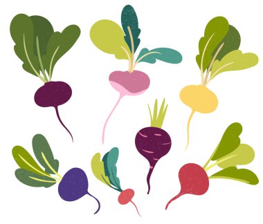 Beetroot düz tarzda ve beyaz arka plan üzerinde izole.