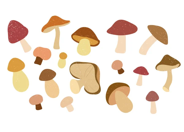 Ensemble de champignons en style plat et isolé sur fond blanc . — Image vectorielle