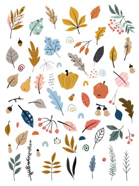 El çizilmiş yaprakları, sebze ve sonbahar hasat ile Çocuk illüstrasyon. Sonbahar seti. Elle çizilmiş düşmüş yapraklar, sebzeler, çilek, meşe palamudu, orman mantarı koleksiyonu.