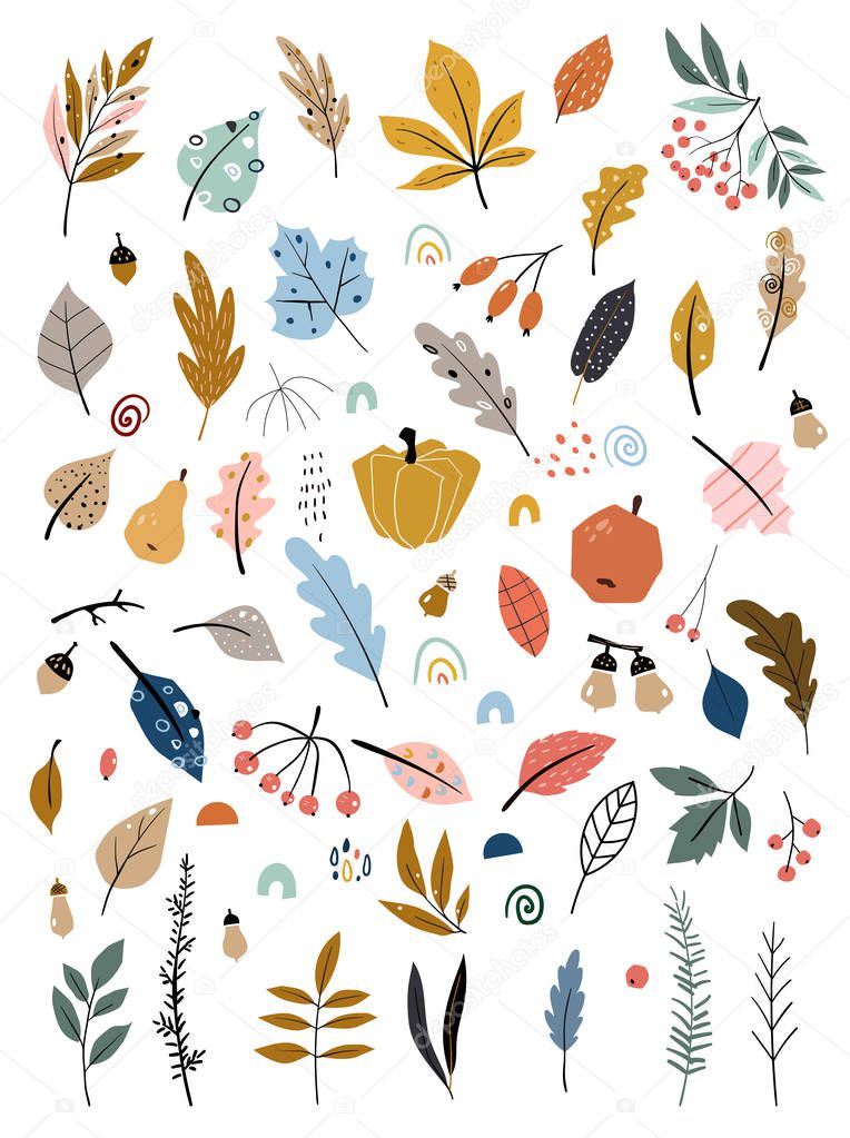 Children s illustration with hand drawn leaves, vegetables and autumn harvest. Autumn set. Collection of hand drawn fallen leaves, vegetables, berries, acorns, forest mushrooms.