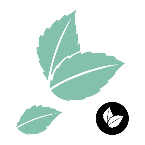 Mint blad vektor logotyp. Grönt löv. Blå mynta lämna ikonen på vitt. Mint blad vektor logotyp. — Stock vektor