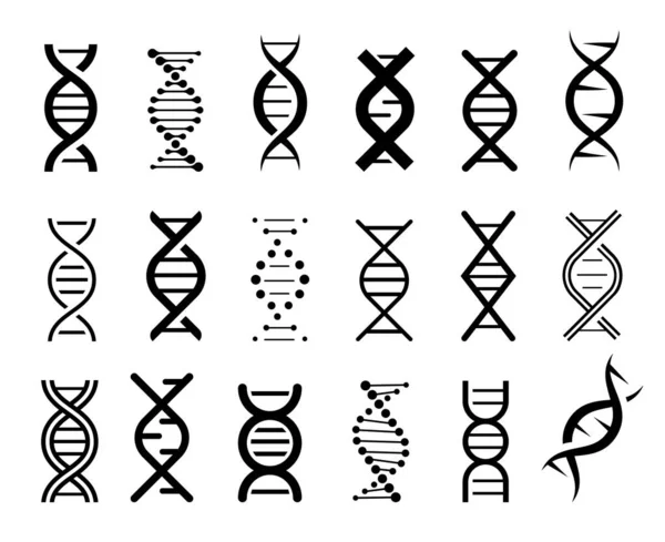 Set of simple dna symbols in black on a white background. DNA Icons vector. — Stock Vector