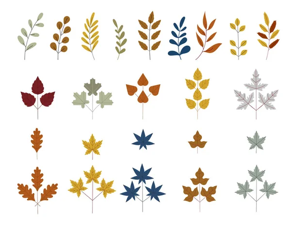 Herbst und Herbstlaub. Eine Reihe von Ästen. Botanische Waldpflanzen oder September-Oktober-Laub. Oktoberernte. Biologisches Gemüse aus dem Garten. Naturgestaltung. — Stockvektor
