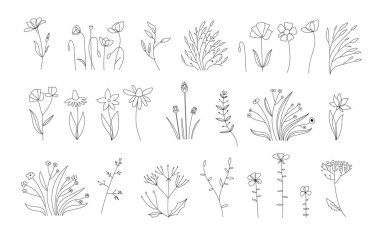 Çiçekçilik Koleksiyonu. Çiçek açan düğün çiçekleri. Farklı çiçeklerin özet vektör kümesi. Siyah ve beyaz, beyaz arka planda çizgi sanatı var. El Çizimi Çizimleri. Vektör. Klasik stil