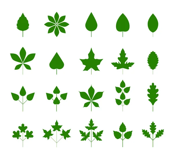 Icônes feuilles vertes sur fond blanc. Feuilles d'automne fixées. Éléments pour logos écologiques et biologiques. Laisse l'icône vectorielle définie isolée sur fond blanc. Éléments de conception. — Image vectorielle