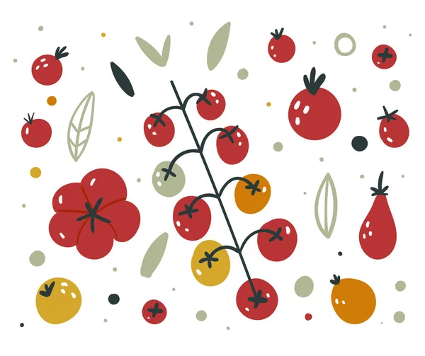Colección de tomates rojos frescos. Dibujos animados. Estilo plano. Tomate sencillo, tomate cherry. Dibujado a mano vector ilustración de dibujos animados planos. Conjunto de verduras rojas. — Vector de stock