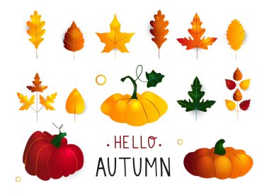 Renkli mevsimsel sonbahar vektör elementleri. El yapımı elementler, sonbahar yaprakları ve balkabakları. İnternet, kart, poster, kapak, etiket, davetiye, etiket kiti için mükemmel. Vektör çizimi. Düz tasarım.