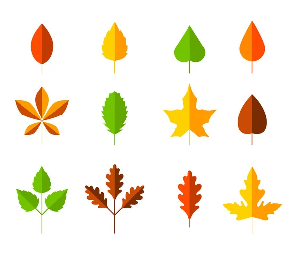 Colorful autumn leaves set. Cartoon leaf in flat style. Autumn herbarium. Collection of hand drawn fallen leaves. Set of cartoon elements of autumn. — Stock Vector