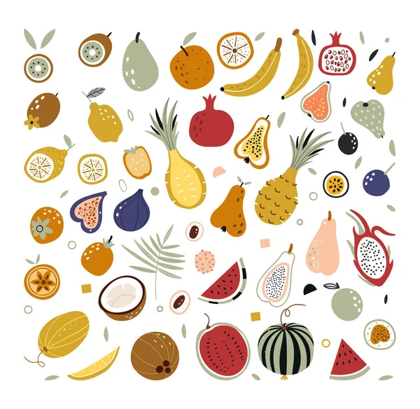 Fruits tropicaux et exotiques dessinés à la main isolés sur fond blanc dans un style organique tendance unique. Doodle fruits. Fruits tropicaux naturels. Illustrations vectorielles d'objets d'automne fruits et légumes. — Image vectorielle