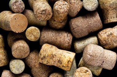 Siyah arka plan rengi nde mantar ağacı mantarı kompozisyonu