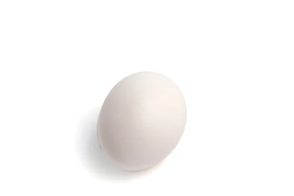 White Egg White Background Isolate — Stock Photo, Image