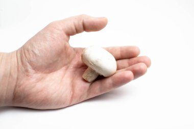 Şampiyon mantarları beyaz arkaplanda izole eder