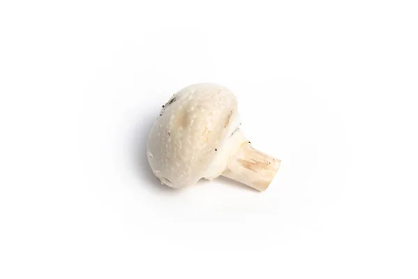 Fungo Champignon Uno Sfondo Bianco Isolato — Foto Stock