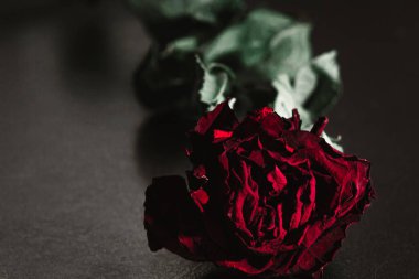 Kurumuş kırmızı yüksek kontrastlı siyah bir fonda koyu bir tuş. Yaklaşın, yatay oryantasyon. Boşluğu kopyala