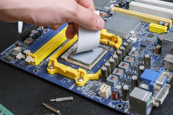 Computer motherboard hand smear thermal grease, on the table repair equipment — Stock Photo, Image