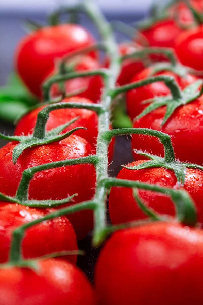 Ramo maduro de tomates de cereja em baixas de água de orvalho em uma mesa gravada preta. espaço de cópia, close up — Fotografia de Stock