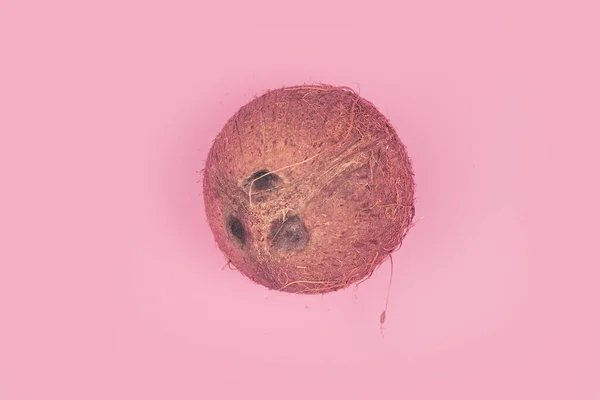 Kokosnuss auf rosa Hintergrund isolieren, Kopierraum, Layout — Stockfoto