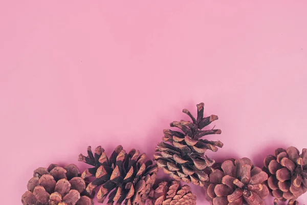 Conos de navidad sobre fondo rosa aislado, copyspace, diseño — Foto de Stock