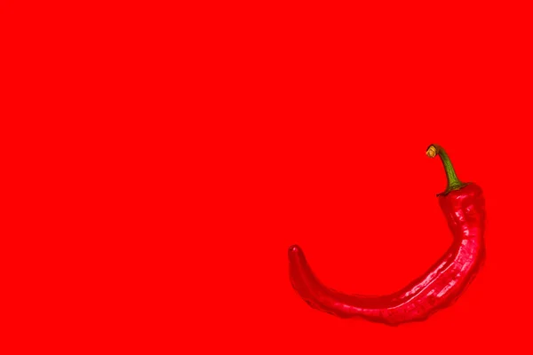 Red hot pepper on a red background top view one — Stock Photo, Image
