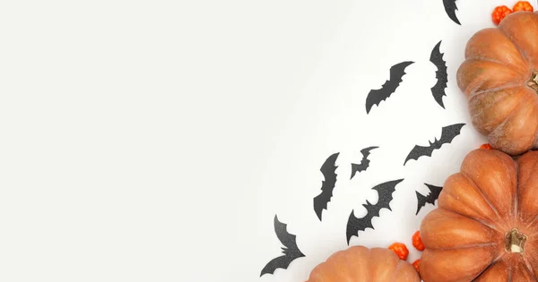 Beyaz arkaplan kopyalama alanı üzerinde balkabakları ve yarasalar ile Cadılar Bayramı düzeni