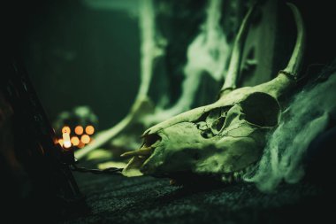 Cadılar Bayramı dekorasyonu için Lost Souls Tavern işareti