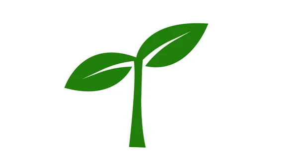 Árvore Estilizada Isolada Sobre Fundo Branco Perfeito Para Logotipo — Fotografia de Stock