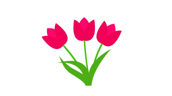 Hermoso Ramo Tulipanes Aislado Sobre Fondo Blanco —  Fotos de Stock