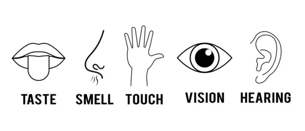 Symbolset Aus Fünf Menschlichen Sinnen Sehen Auge Riechen Nase Hören — Stockfoto