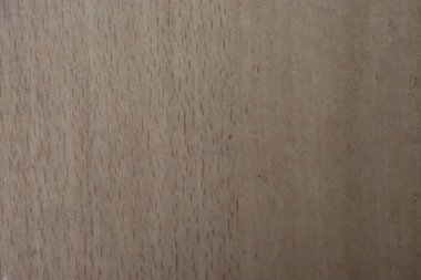 Koyu yeşil odun. Doğal doku arkaplanı