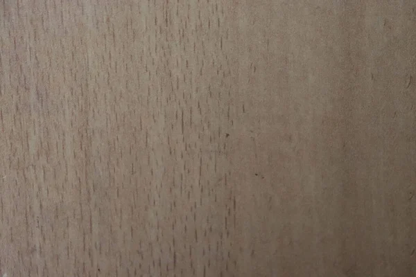Dunkelgrünes Holz Natürliche Textur Hintergrund — Stockfoto