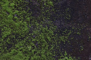 beton duvar dokusu arka plan, gri soyut desen