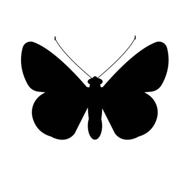 Kelebek beyaz arkaplan çiziminde izole