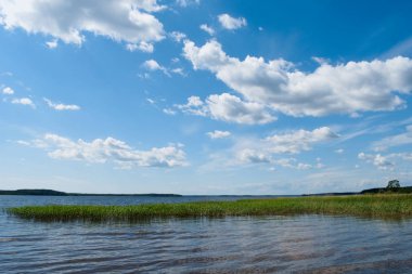Gölün güzel manzarası, suda yetişen otlar ve ufukta ağaçlar. Bulutlar kaotik mavi gökyüzünde çeşitli rakamlar hatırlatan düzenlenmiştir.