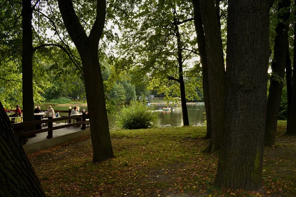 Lago Parque Está Rodeado Por Todos Los Lados Por Árboles — Foto de Stock