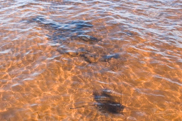 Дні Ладозьке Озеро Абстрактна Картина Звертається Додаванням Сонячного Світла Вся — стокове фото