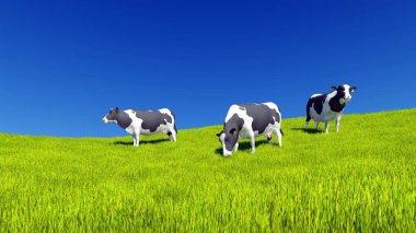 Mottled dairy cows graze on the farm meadow covered with fresh green grass under clear blue sky at daytime. Countryside landscape 3D illustration from my own 3D rendering file. clipart
