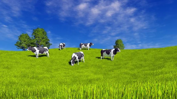Countryside Landscape Mottled Dairy Cows Grazing Green Farm Pasture Blue — Stock Photo, Image