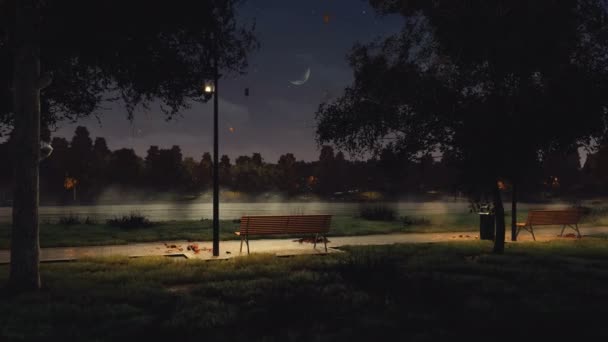 Passerella Illuminata Lampioni Con Panchine Vuote Foglie Autunnali Cadute Parco — Video Stock