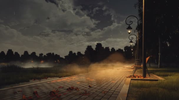 濡れた舗装された歩道 わずかな雨で暗い霧秋夜空ベンチと荒涼とした都市公園における秋落ち葉通りランプが点灯します でレンダリングの人々 アニメーション — ストック動画