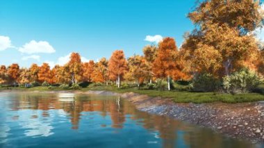 İle güzel renkli ağaçlar net gün sakin Orman Gölü kıyısında sakin sonbahar sahne. Hiçbir insan ile sezon gerçekçi 3d animasyon 4 k'dan fazla işlenen düşmek