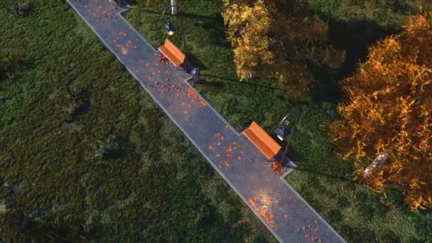 在平静的傍晚 一座城市公园里有空长凳 五颜六色的秋天的树木和落叶的街道灯光照亮了人行道上的人行道 没有人秋天季节3D 动画渲染4K — 图库视频影像