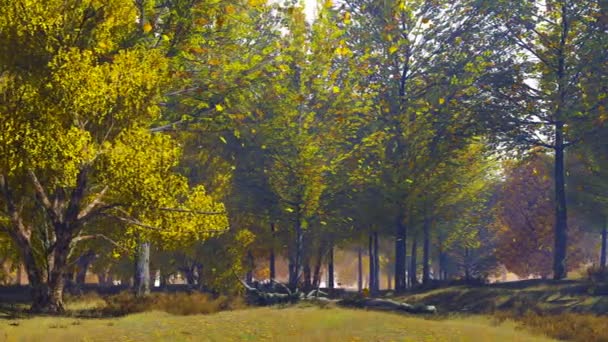 在风景秀丽的森林边缘有一片宁静的林地风光 金色的秋叶从树上落下 在阳光明媚的日子里缓缓移动 没有人秋天季节现实3D — 图库视频影像