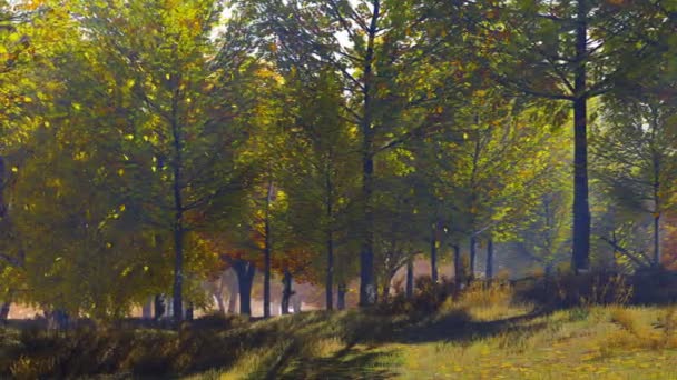 Herbstblätter Fallen Rande Des Laubwaldes Einem Ruhigen Sonnigen Tag Ohne — Stockvideo
