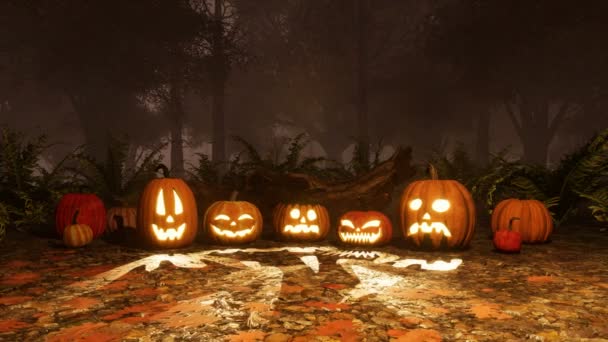 Close Various Funny Jack Lantern Carved Halloween Pumpkins Haunted Autumn — Stock Video