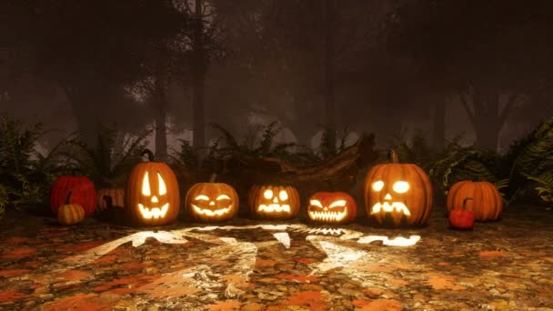 Gros plan de diverses drôles de citrouilles de Halloween sculptées Jack-o-lantern dans la forêt d'automne hantée lors d'une nuit mystique brumeuse et sombre. Animation 3D festive d'automne en 4K 
