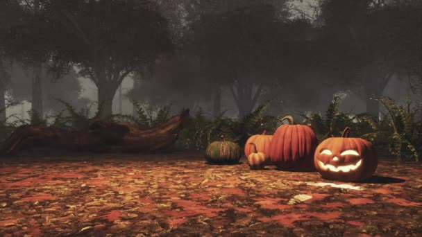 Jack Lantern Halloween Pumpkins Ground Covered Fallen Autumnal Leaves Scary — Stock Video