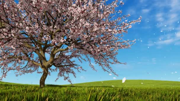 春の野に咲き誇る桜の花は 新鮮な緑の草や花の花びらをスローモーション明るい青い空を背景に木から落ちてくるで覆われて でレンダリングされる現実的な アニメーション — ストック動画