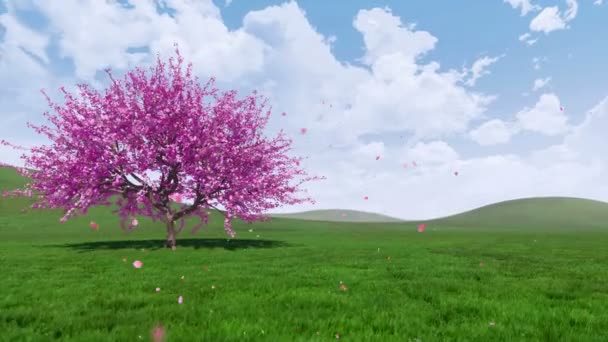 満開の桜と 晴れた日の新緑に覆われた丘の上のピンクの花びらを咲かせる春の風景 春シーズンの3D アニメーションを4K でレンダリング — ストック動画